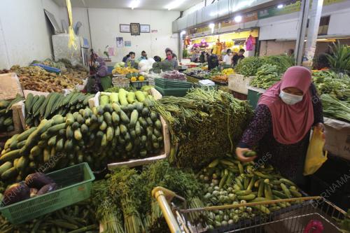 TINJAUAN BARANG MENTAH