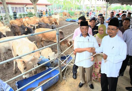JB02_24102012_LEMBU_KORBAN