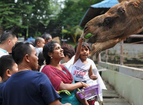 JB02_25122014_ZOO_JOHOR