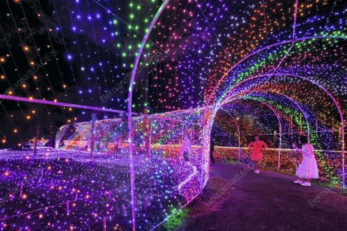 LUNA LIGHTS WONDERLAND