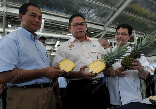 DATUK SERI NOH OMAR