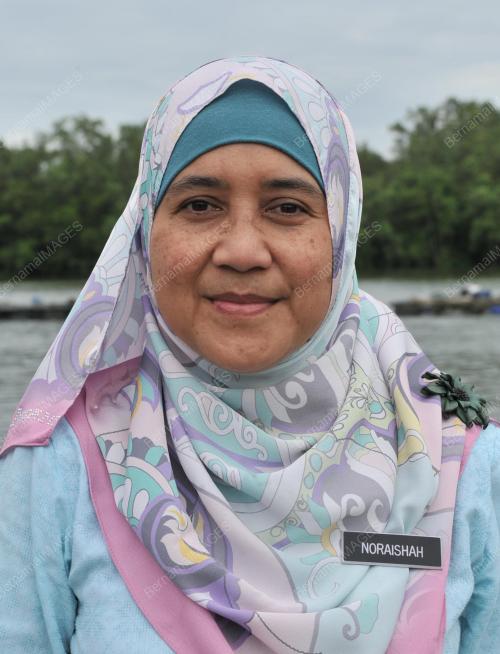 NORAISHAH HASHIM