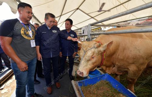 JB03_01122019_SALAHUDDIN_HPPNK_2019
