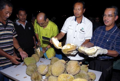 RAMLI JOHARI