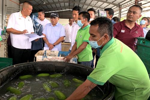 DATUK SERI DR RONALD KIANDEE