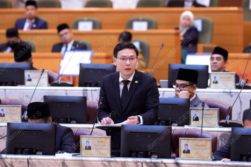 LEE TING HAN