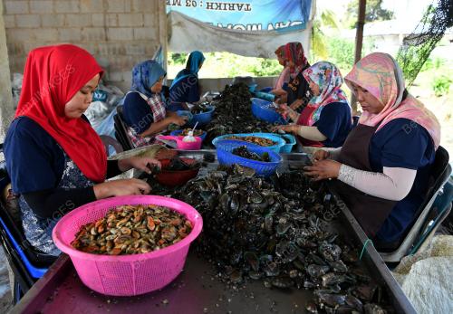 JB03_08052019_KUPANG_20190416BNBM97285