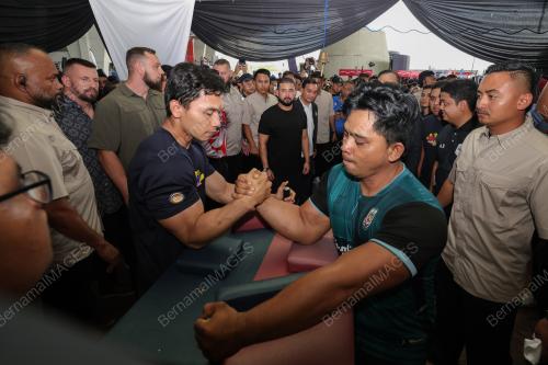 TUNKU MAHKOTA ISMAIL 