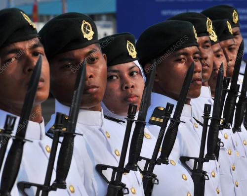 PERTAULIAHAN DIRAJA KADET PALAPES