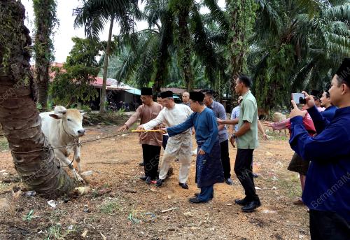 JB03_09082019_TSMY_BN201908087554