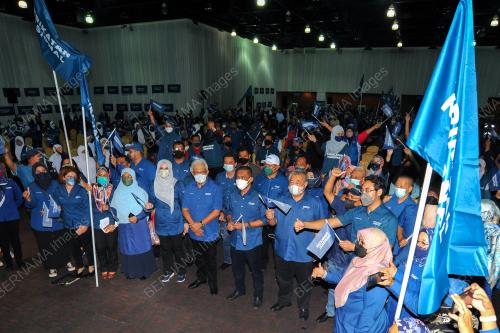 DATUK SERI HAMZAH ZAINUDDIN