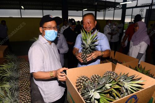 DATUK CHE ABDULLAH MAT NAWI