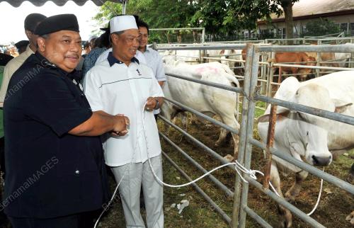 JB03_12102013_LEMBU_KORBAN