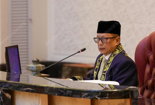 DATUK DR MOHD PUAD ZARKASHI