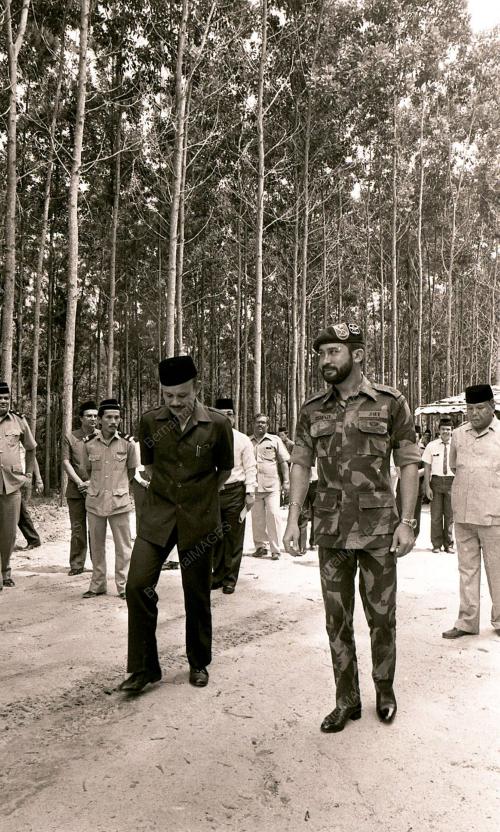 JB03_130690_PROJEK_LADANG