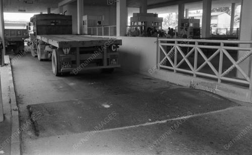 JB03_14072015_BONGGOL