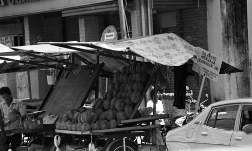 JB03_14072015_DURIAN