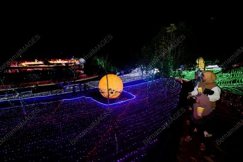 LUNA LIGHTS WONDERLAND 