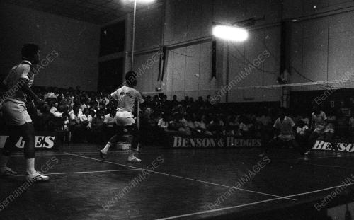 JB03_20032015_BADMINTON
