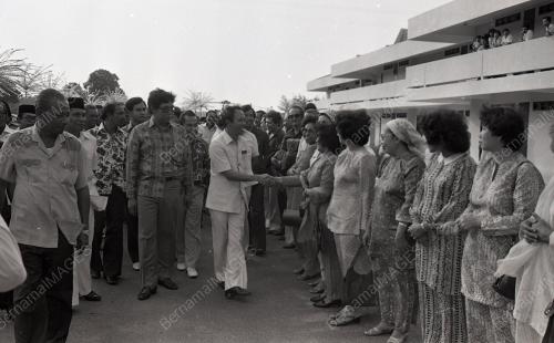 MUSA HITAM