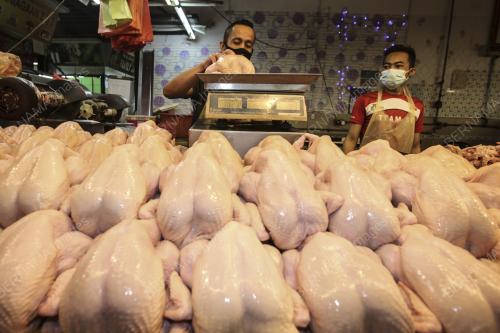 TINJAUAN BARANG MENTAH