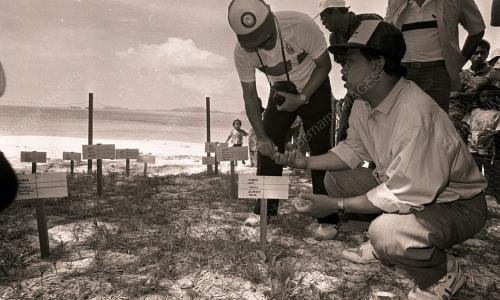 JB03_250390_PULAU