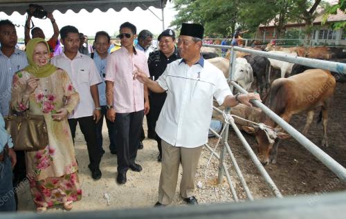 JB03_24102012_LEMBU_KORBAN