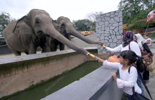 ZOO JOHOR