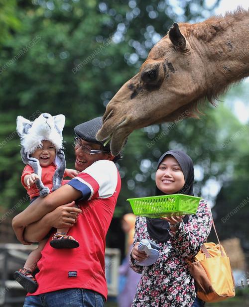 JB03_25122014_ZOO_JOHOR