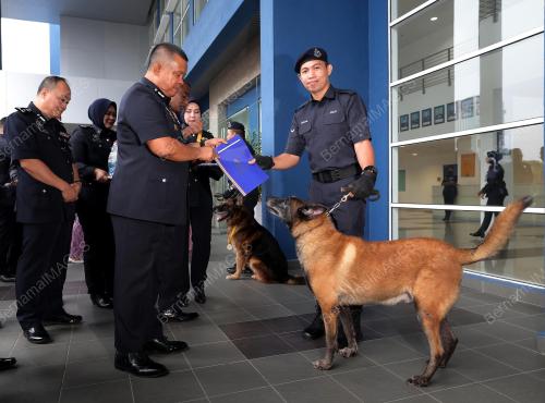 DATUK KAMARUL ZAMAN MAMAT