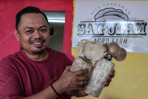 NOOR SAIFUL AMRI