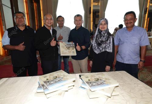 DATUK AMIZAN MOHD ALI