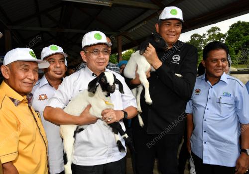 JB03_28092019_KAMBING_BK_BN201909242123