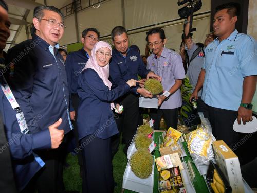 JB03_28112019_TPM_HPPNK_2019