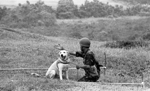 JB03_29012015_GENERAL_JEPUN
