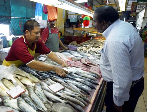 PASAR IKAN KIP MART