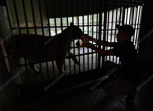 ZOO JOHOR