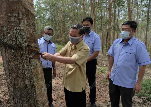 DATUK SERI DR WEE JECK SENG