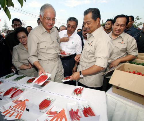 MOHD NAJIB TUN ABDUL RAZAK