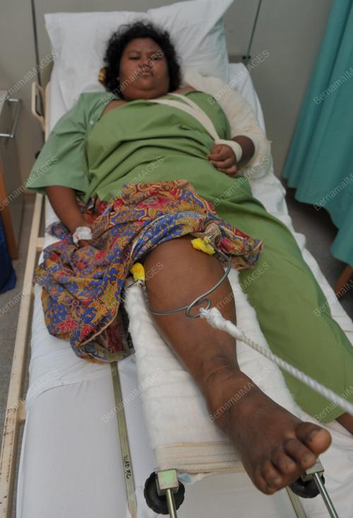 JB04_08062012_LIBASAN_GAJAH