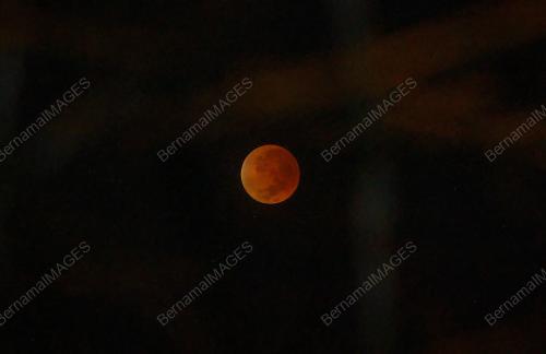 FENOMENA BLOOD MOON