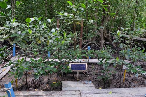 JB04_09112018_IRDA_KUKUP