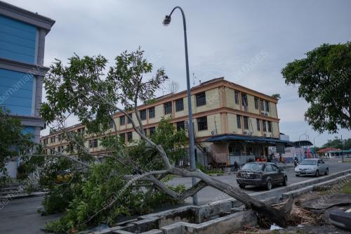 KUKUP AIR PASANG SURUT