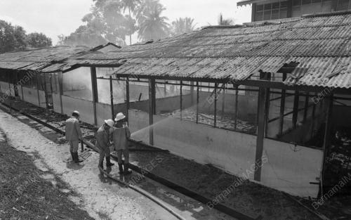 JB04_11082015_KEBAKARAN_SEKOLAH