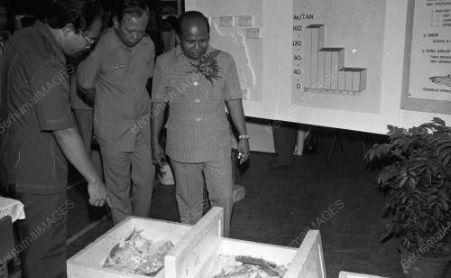 JB04_13012015_IKAN_AIR_TAWAR
