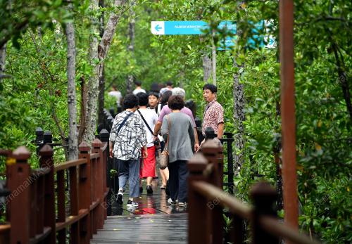 JB04_14102019_TANJUNG_PIAI