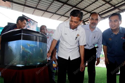 JB04_22102019_UDANG_PUTIH