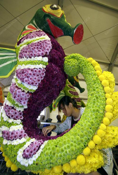 PESTA FLOR 2008