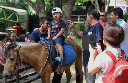 JB04_25122014_ZOO_JOHOR