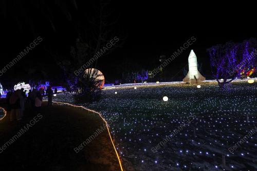 LUNA LIGHTS WONDERLAND